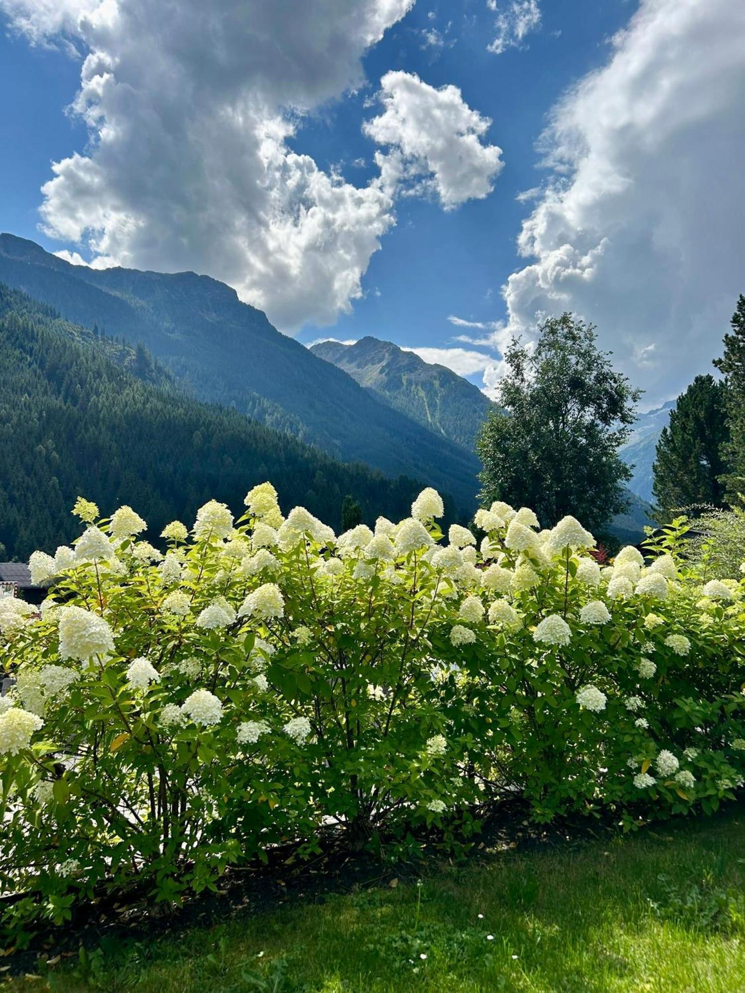Ferienwohnung Wald Wald im Pinzgau Extérieur photo